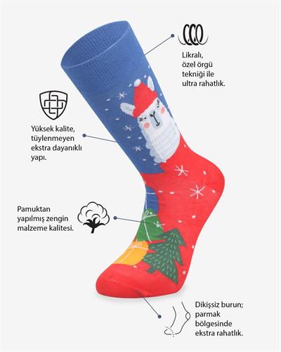 Erkek Yılbaşı Ayı Desenli Çorap Hediye Kutulu