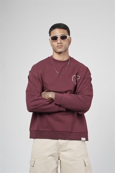 Bisiklet Yaka Baskılı Nakış Detaylı Erkek Sweatshirt