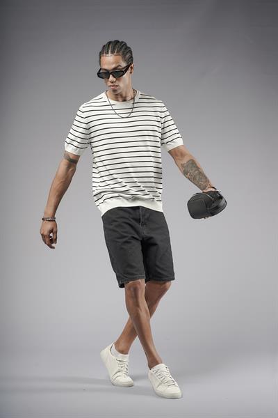 Bisiklet Yaka Çizgili Regular Kalıp Erkek Triko Tişört