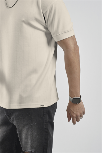 Bisiklet Yaka Çizgili Regular Kalıp Erkek Tişört