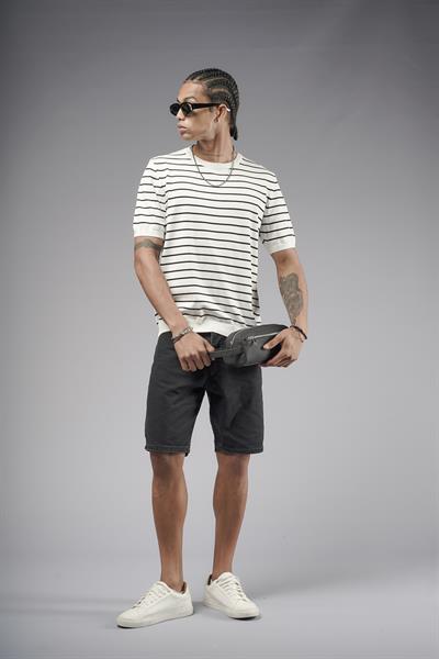 Bisiklet Yaka Çizgili Regular Kalıp Erkek Triko Tişört