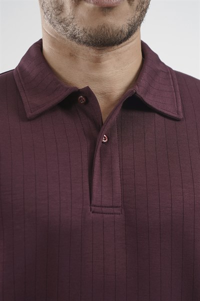 Polo Yaka Çizgi Detaylı Regular Kalıp Erkek Tişört