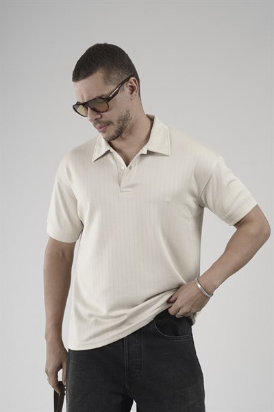 Polo Yaka Çizgi Detaylı Regular Kalıp Erkek Tişört