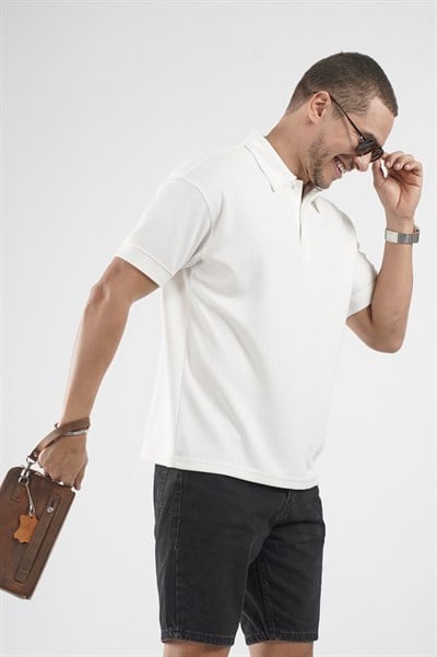 Polo Yaka Çizgi Detaylı Regular Kalıp Erkek Tişört