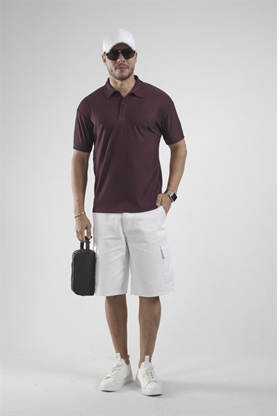 Polo Yaka Regular Kalıp Çizgili Erkek Basıc Tişört