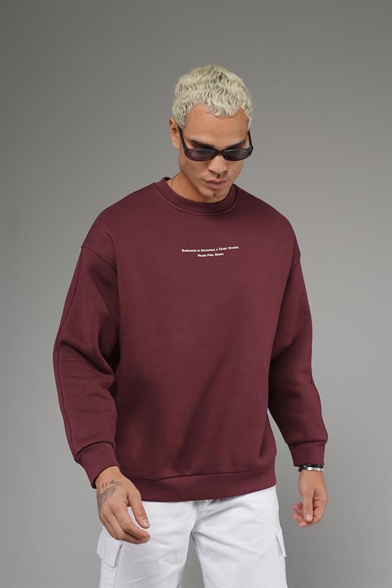 Nakış Detaylı Logolu Bisiklet Yaka Oversize Kalıp Sweatshirt