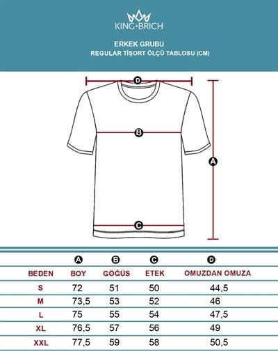 Bisiklet Yaka Likralı Düz Basic Erkek Regular Kalıp Tişört