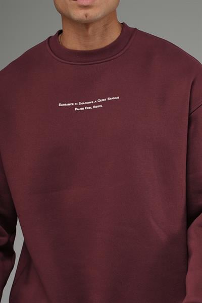 Nakış Detaylı Logolu Bisiklet Yaka Oversize Kalıp Sweatshirt