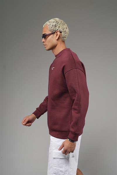 Nakış Detaylı Logolu Bisiklet Yaka Oversize Kalıp Sweatshirt