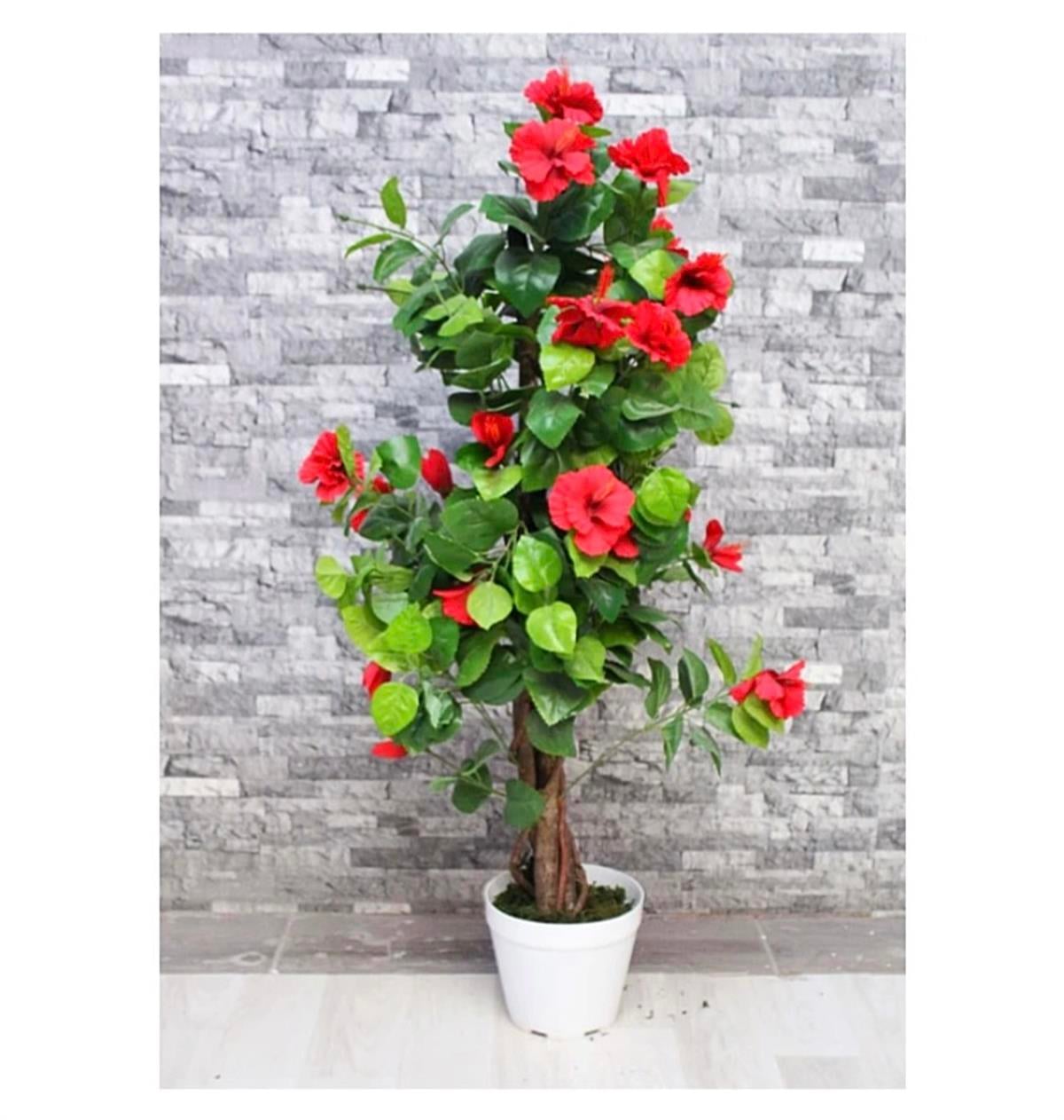 Yapay BitkiYapay BitkiKırmızı Aşk Çiçeği
N'CREA HomeKırmızı Aşk Çiçeği
