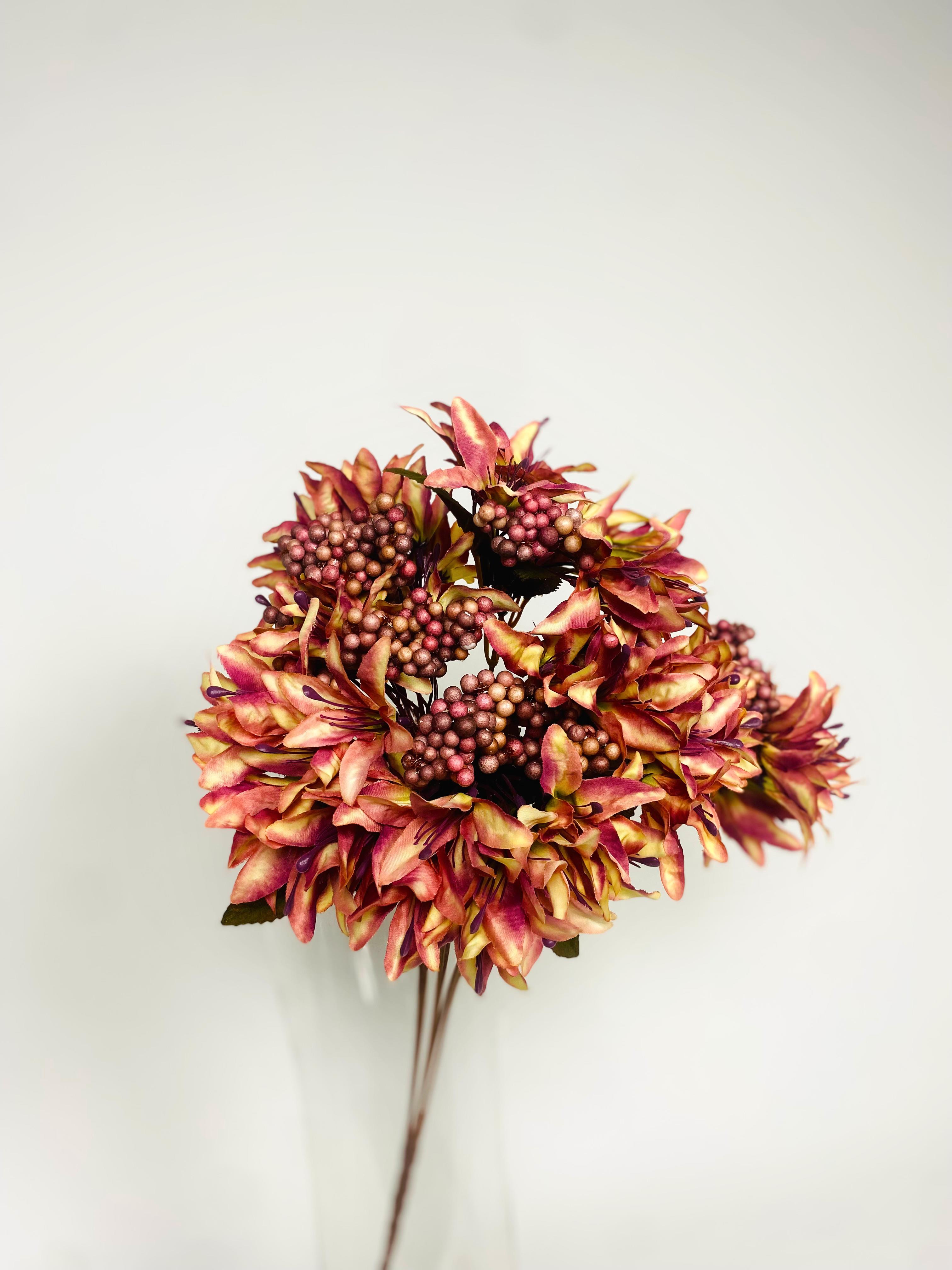 N'CREA HomeCipsolu Dal-Pembe
