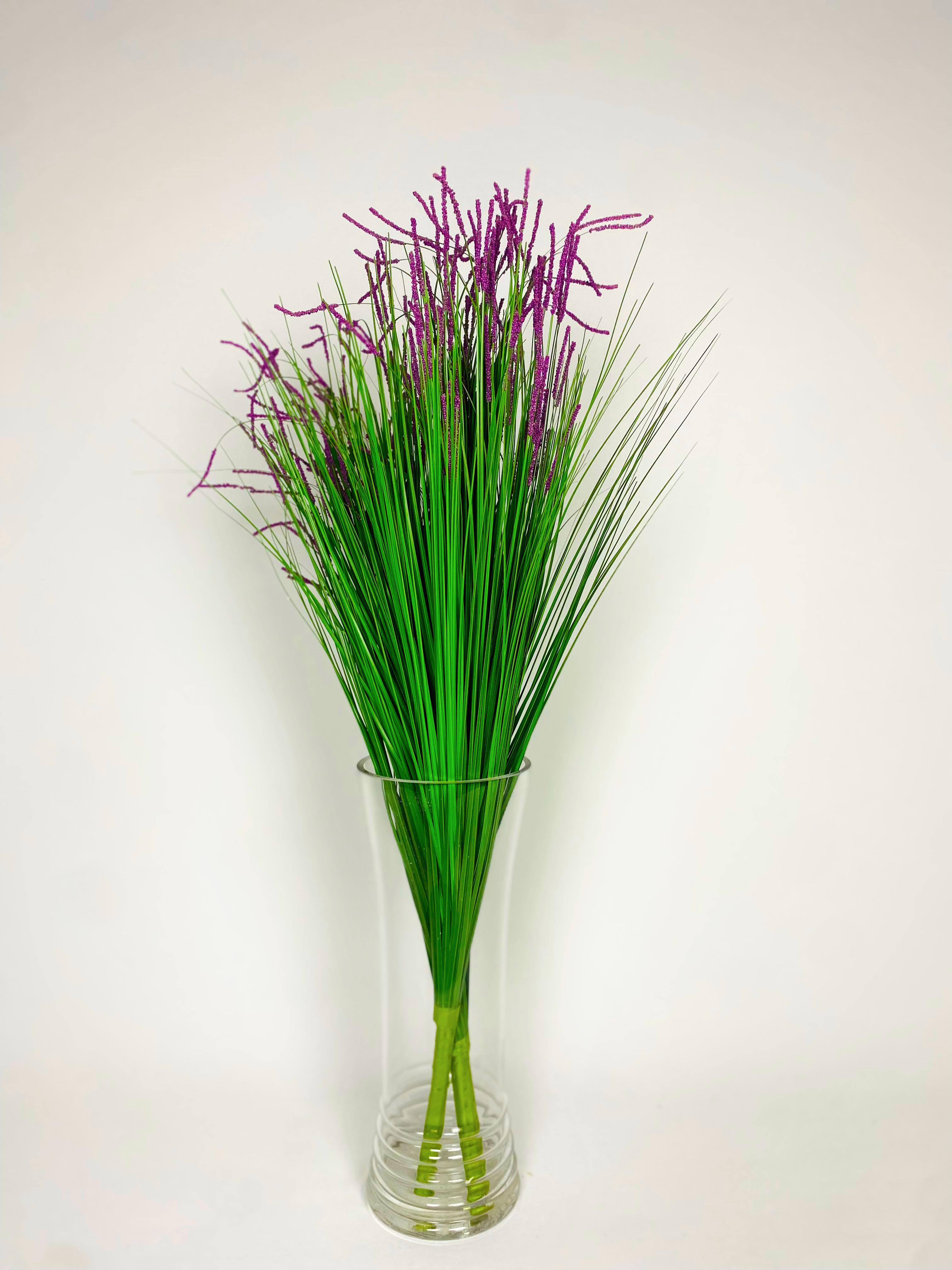 N'CREA HomeMor Dal Bitki
