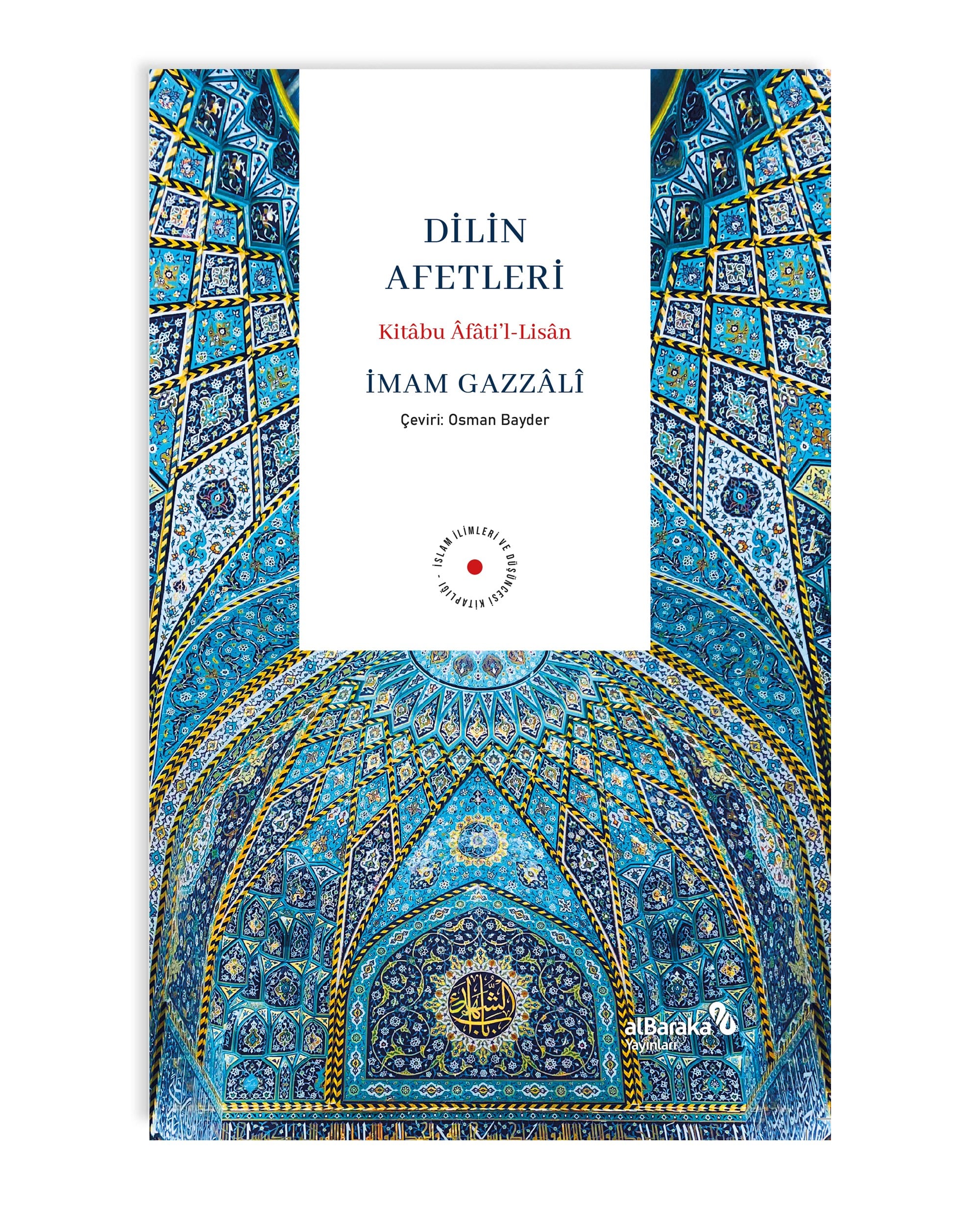  DİLİN AFETLERİ