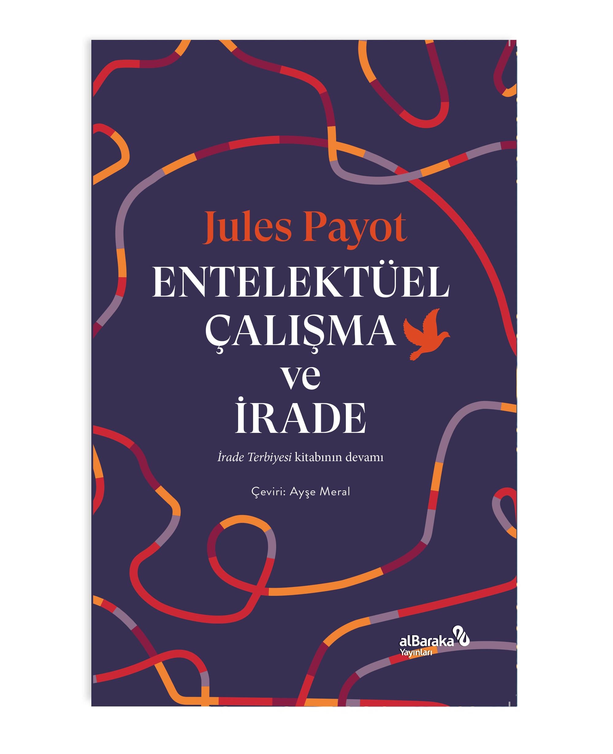 ENTELEKTÜEL ÇALIŞMA ve İRADE