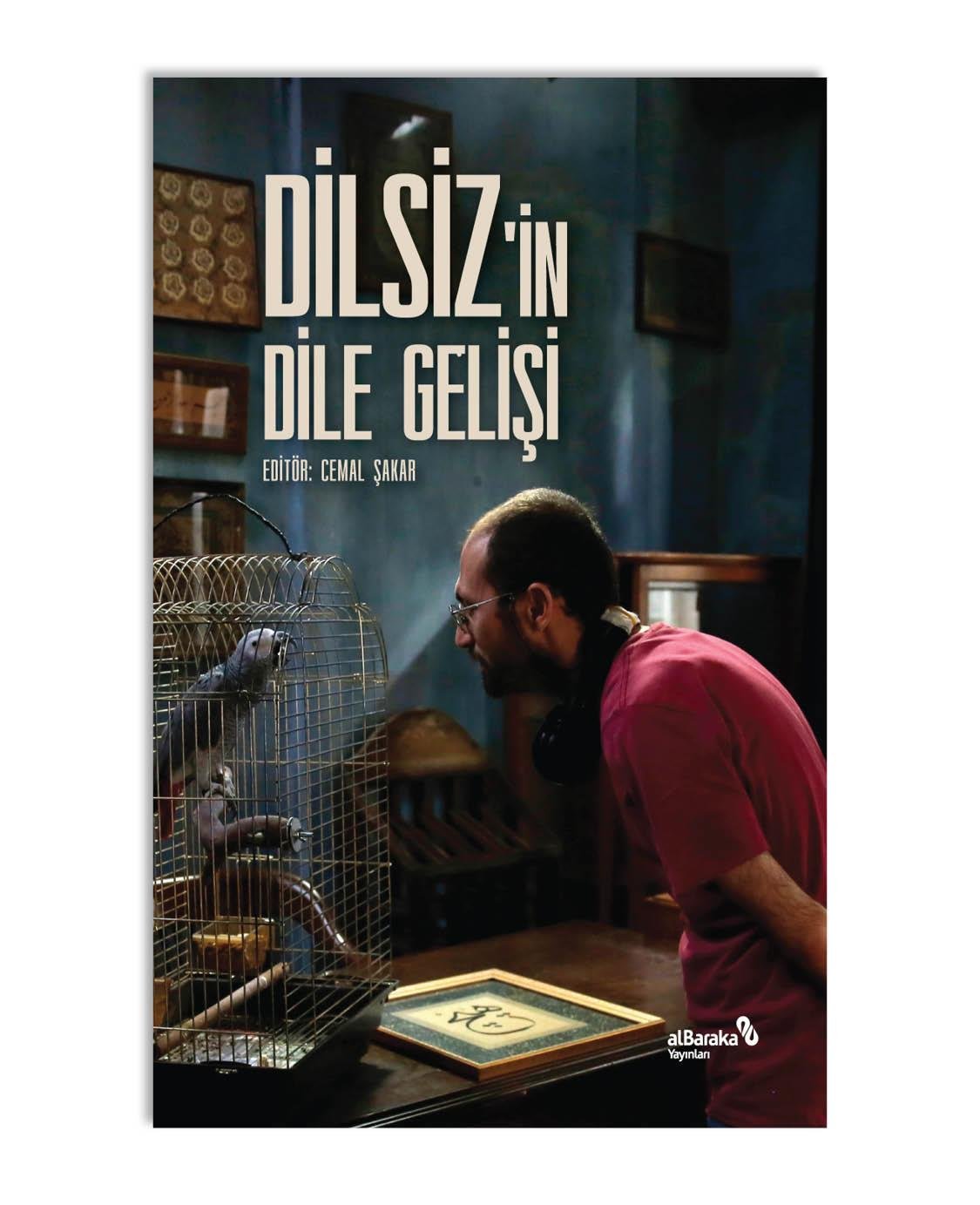 DİLSİZ'İN DİLE GELİŞİ