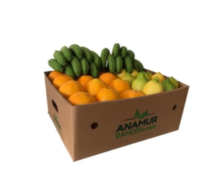 Vitamin kutusu, limon ve diğer organik meyveler- ANAMUR BAHÇESİ