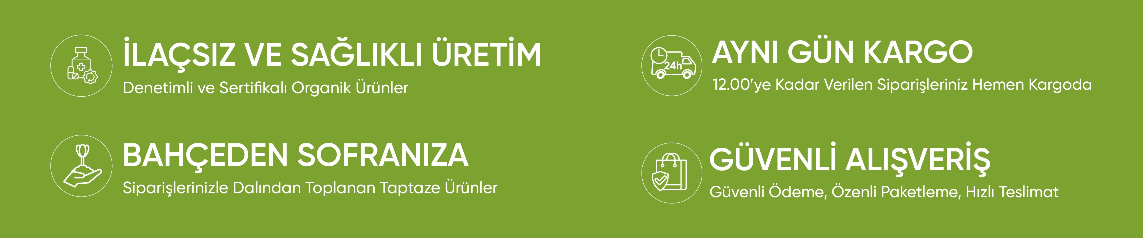 Anamur Web Design Mobile