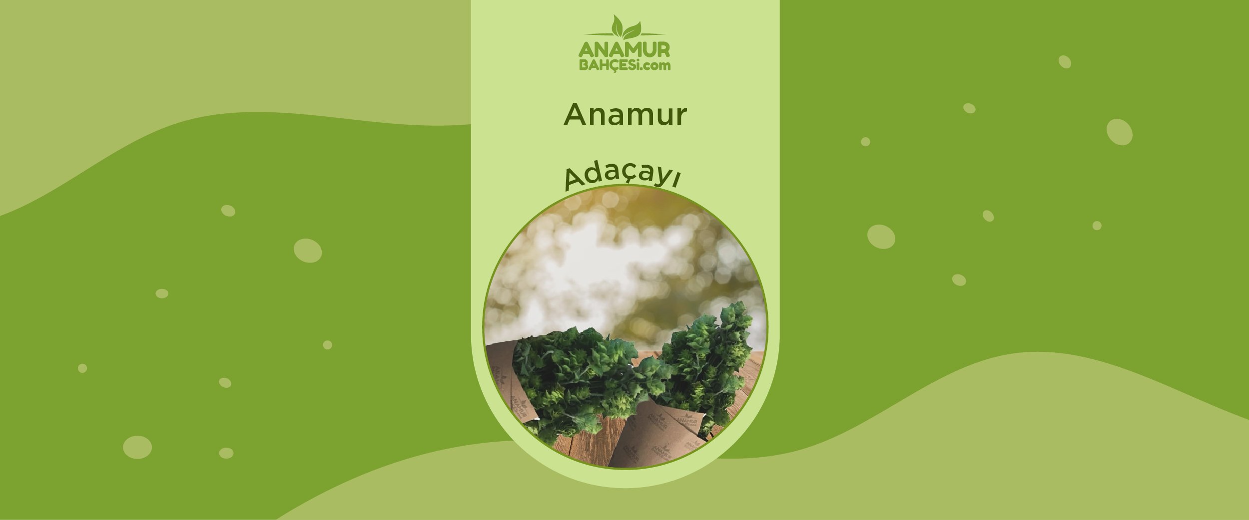 Anamur Adaçayı