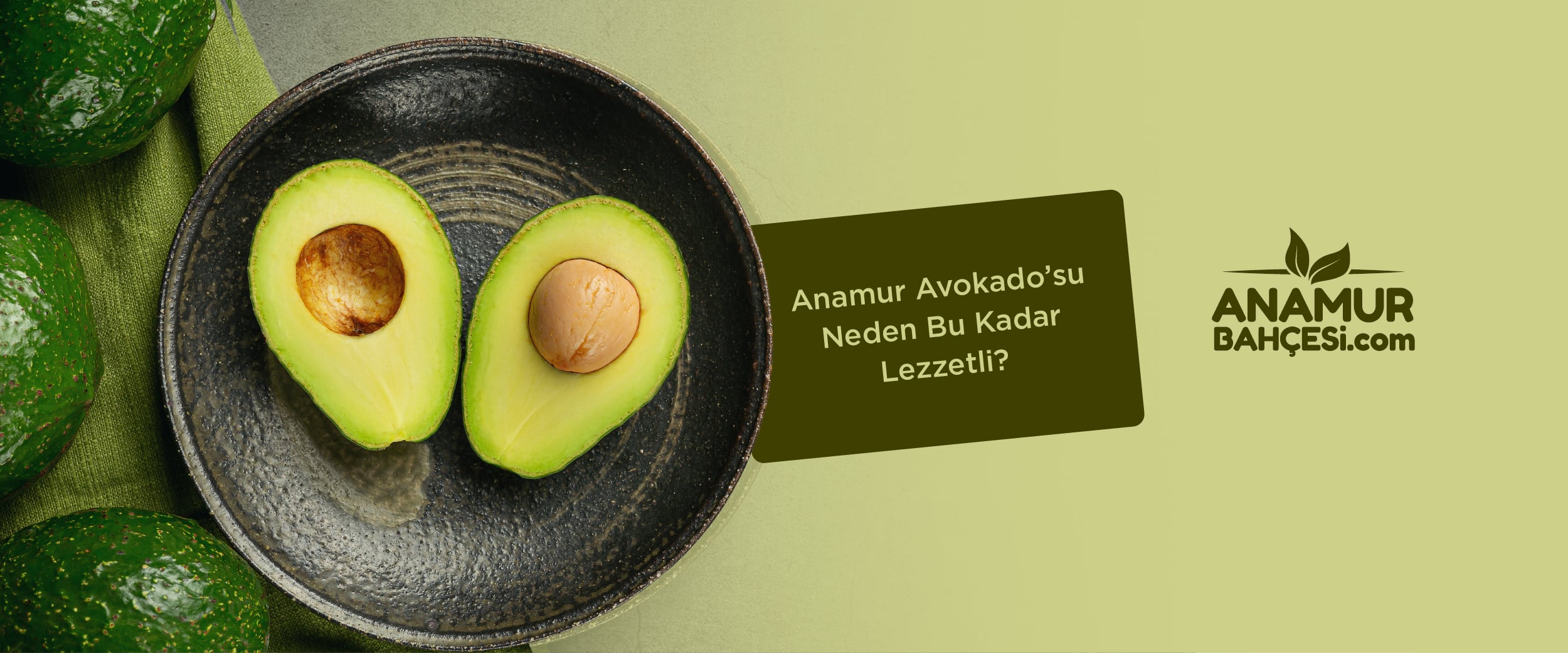 Anamur Avokado’su Neden Bu Kadar Lezzetli?