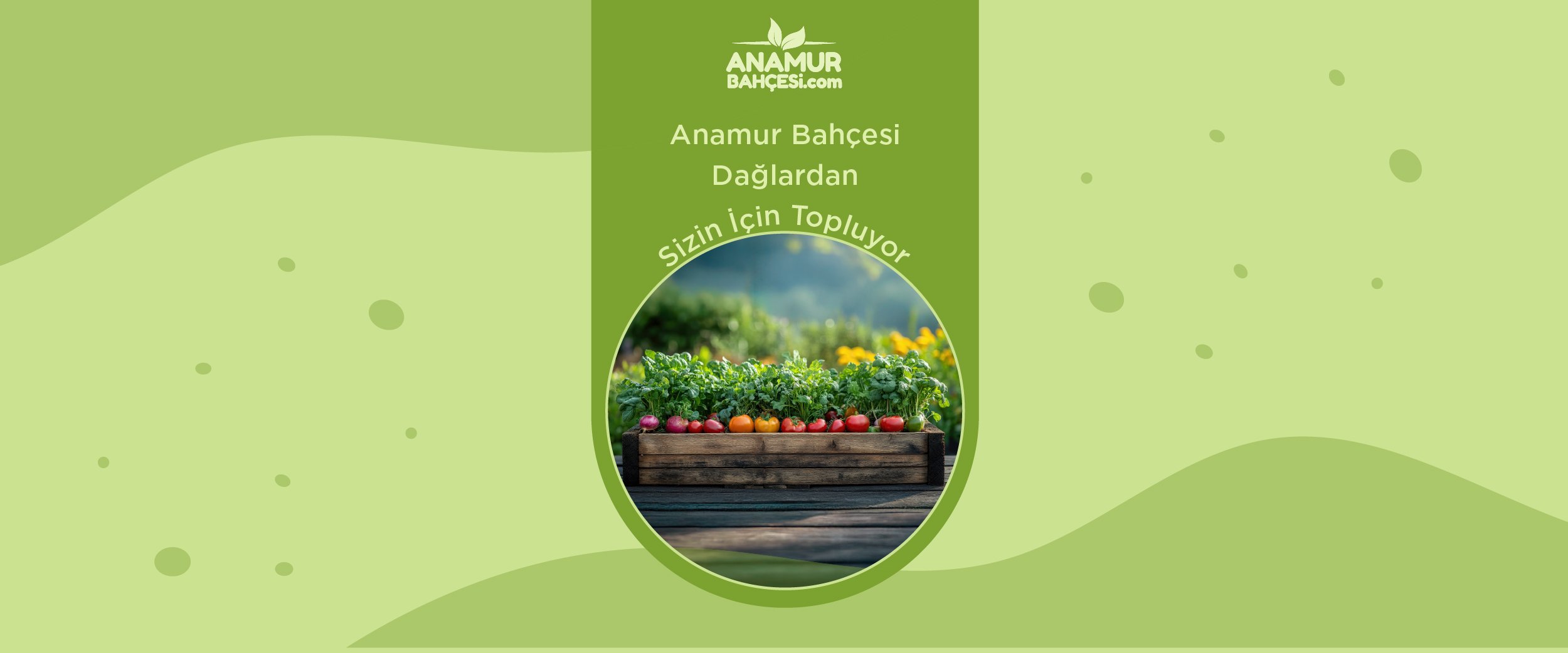 Anamur Bahçesi Dağlardan Sizin İçin Topluyor