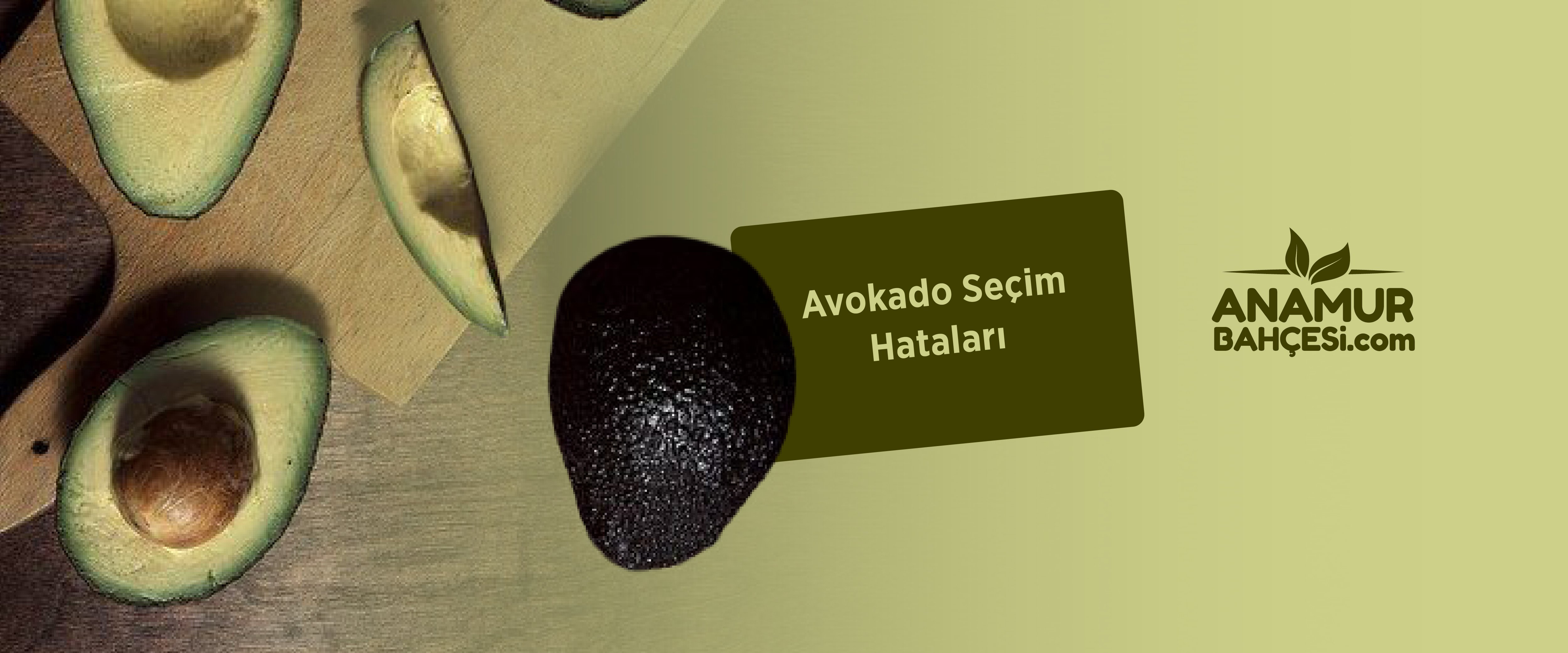 Avokado Seçim Hataları
