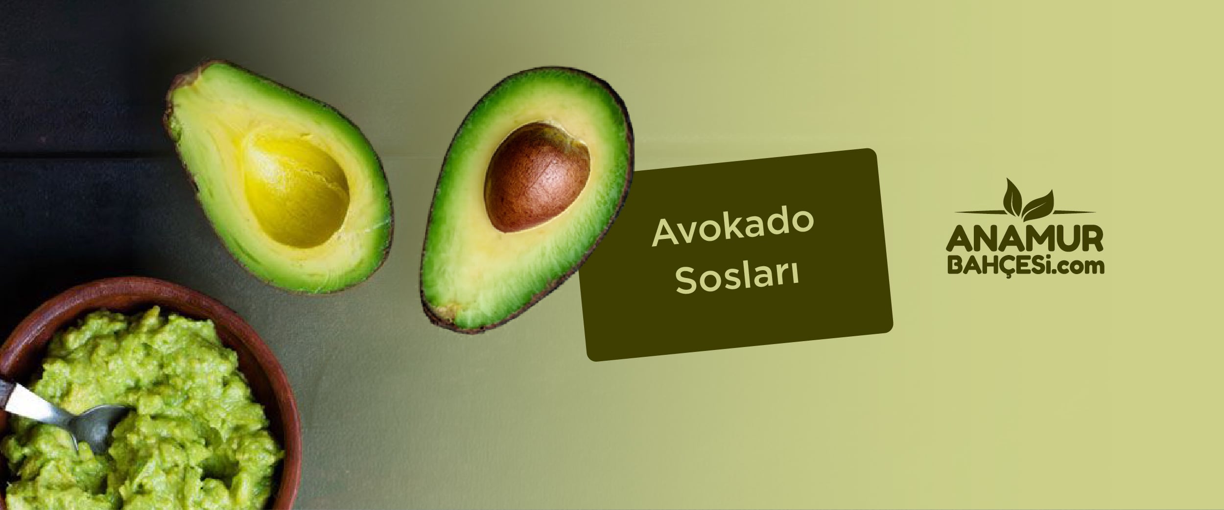 Avokado Sosları