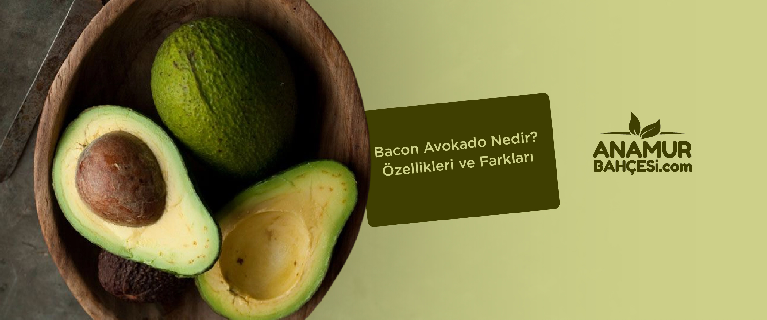 Bacon Avokado