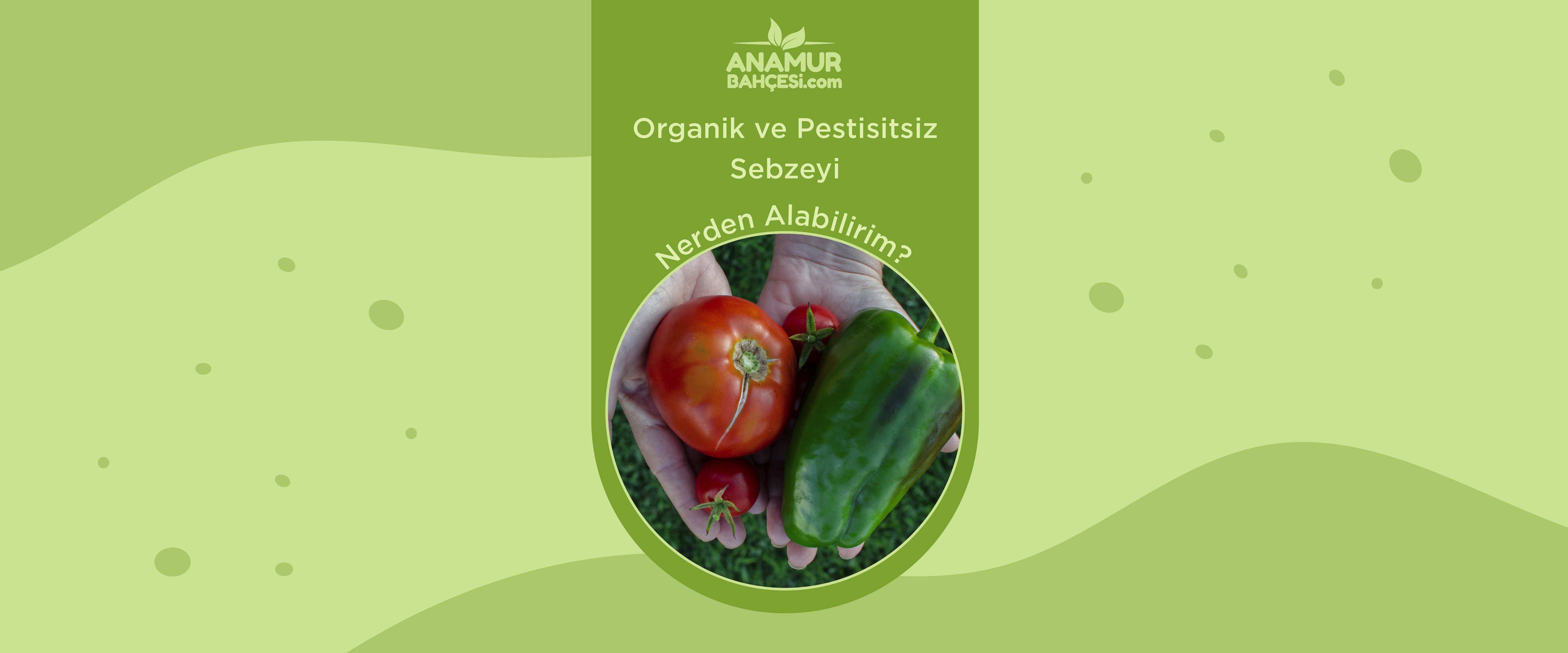 Bebeğim İçin Organik Sebzeyi Nereden Alabilirim?