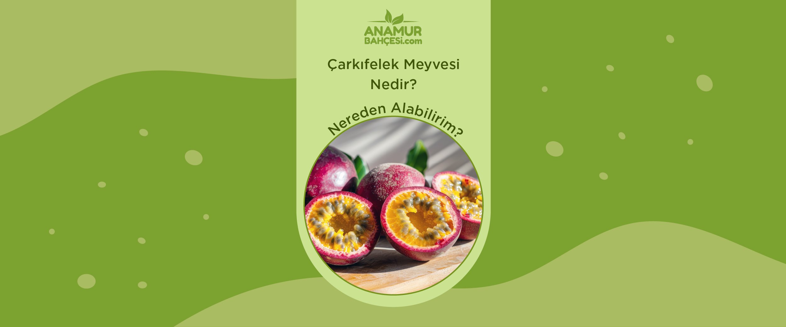 Çarkıfelek Meyvesi Nedir? Nereden Alabilirim?|Anamur Bahçesi