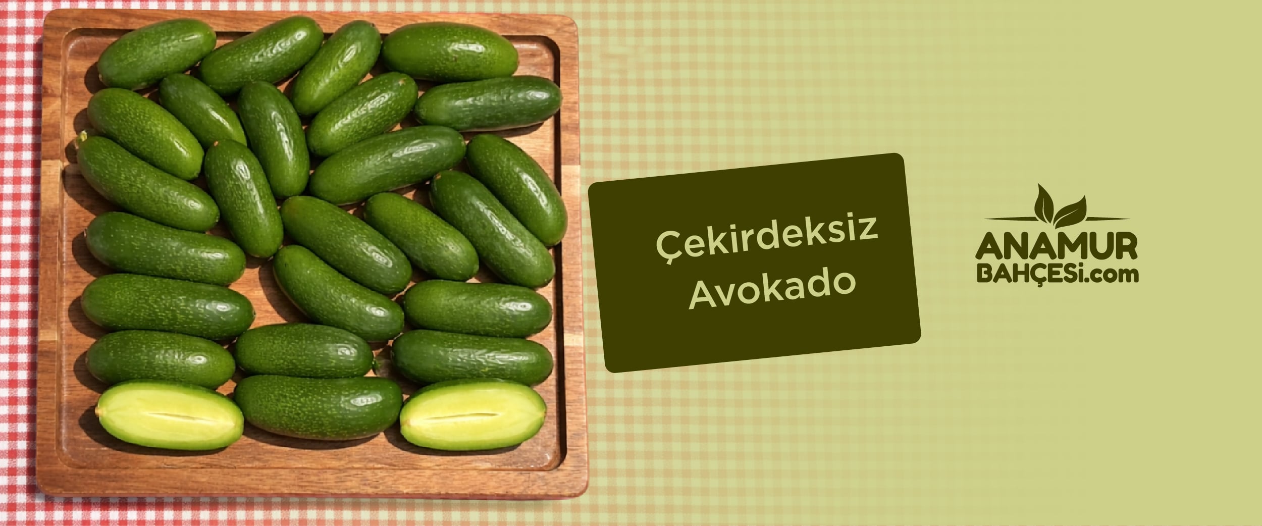 Çekirdeksiz Avokado | Anamur Bahçesi