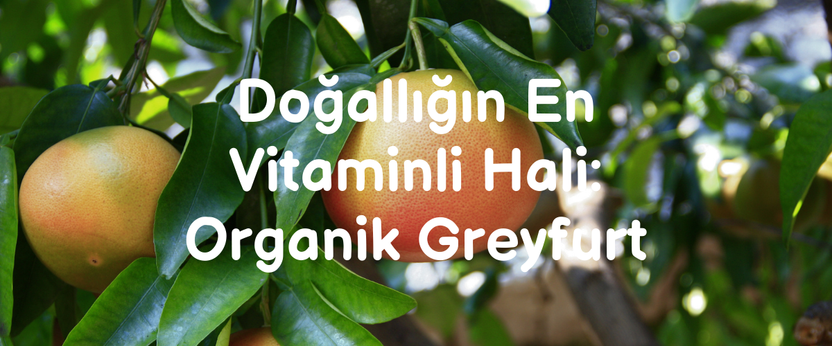 Doğallığın En Vitaminli Hali: Organik Greyfurt