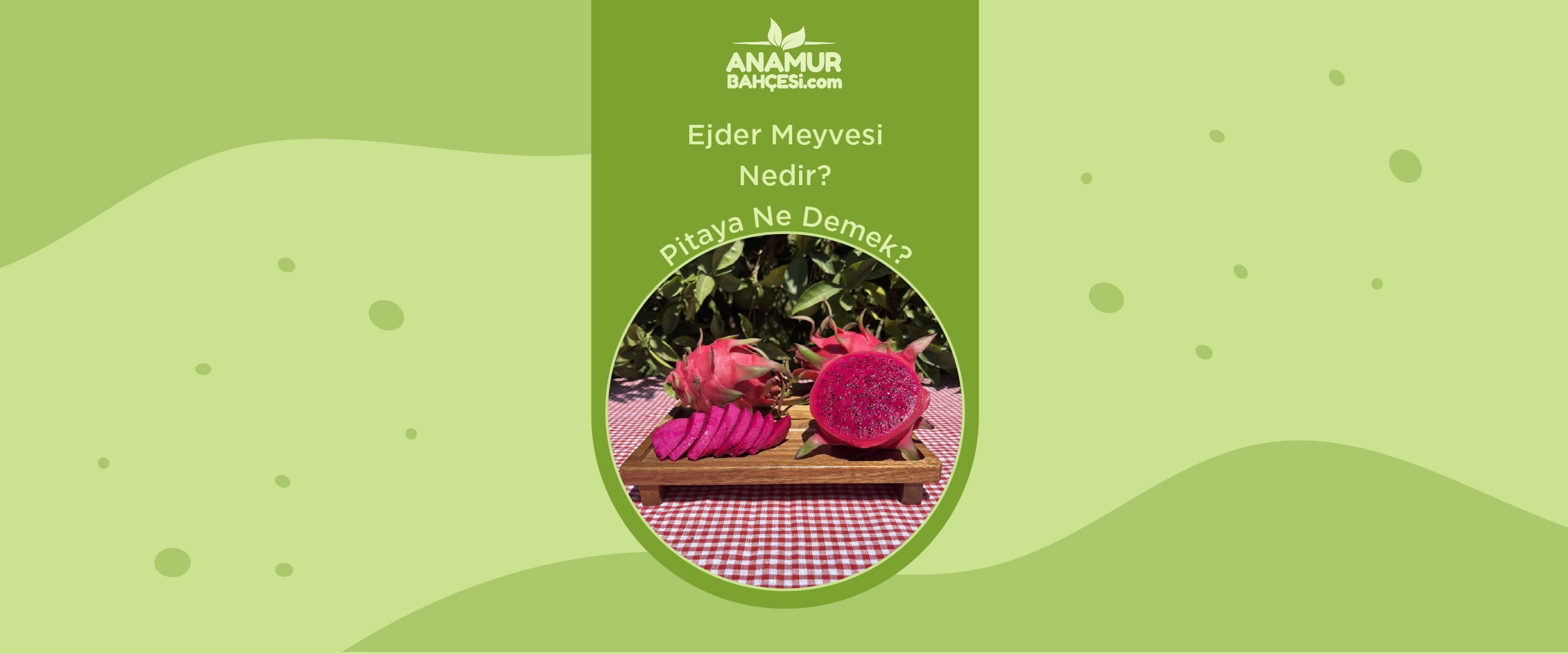 Ejder Meyvesi Nedir? | Anamur Bahçesi