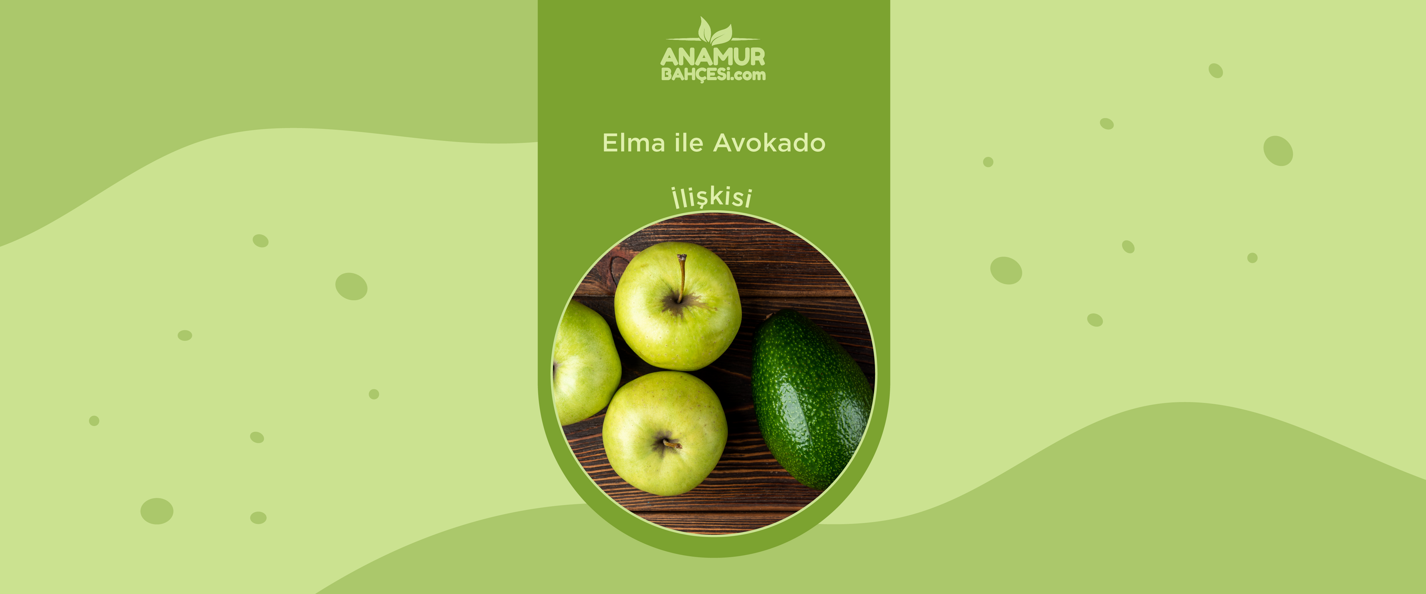 Elma İle Avokado İlişkisi