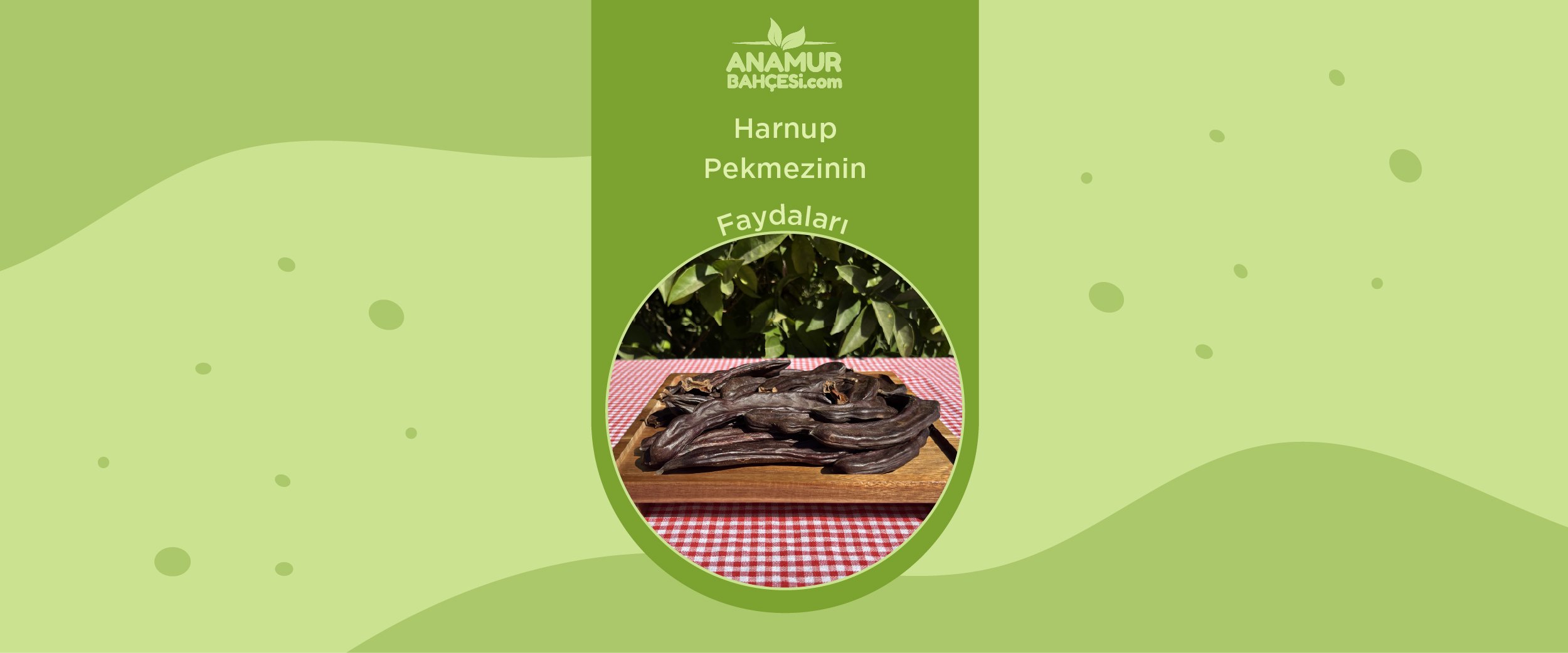 Harnup Pekmezi