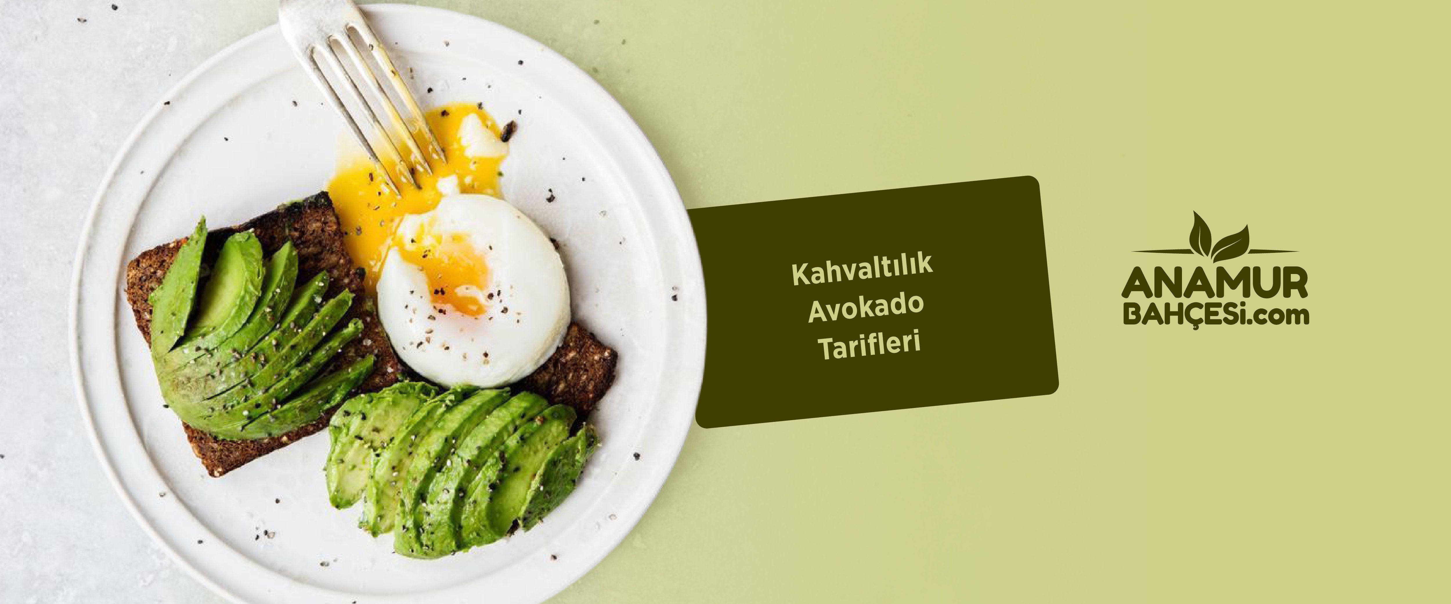 Kahvaltılık Avokado Tarifleri