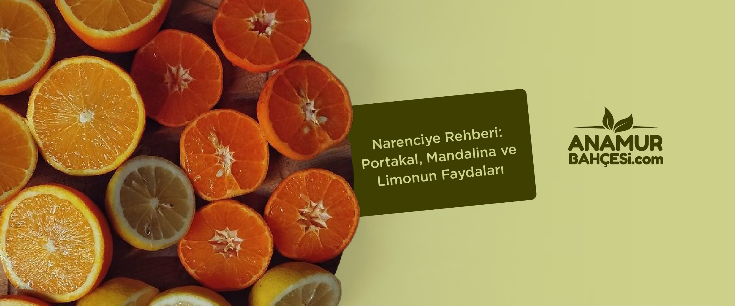 Narenciye Rehberi: Portakal, Mandalina ve Limonun Faydaları | Anamur Bahçesi
