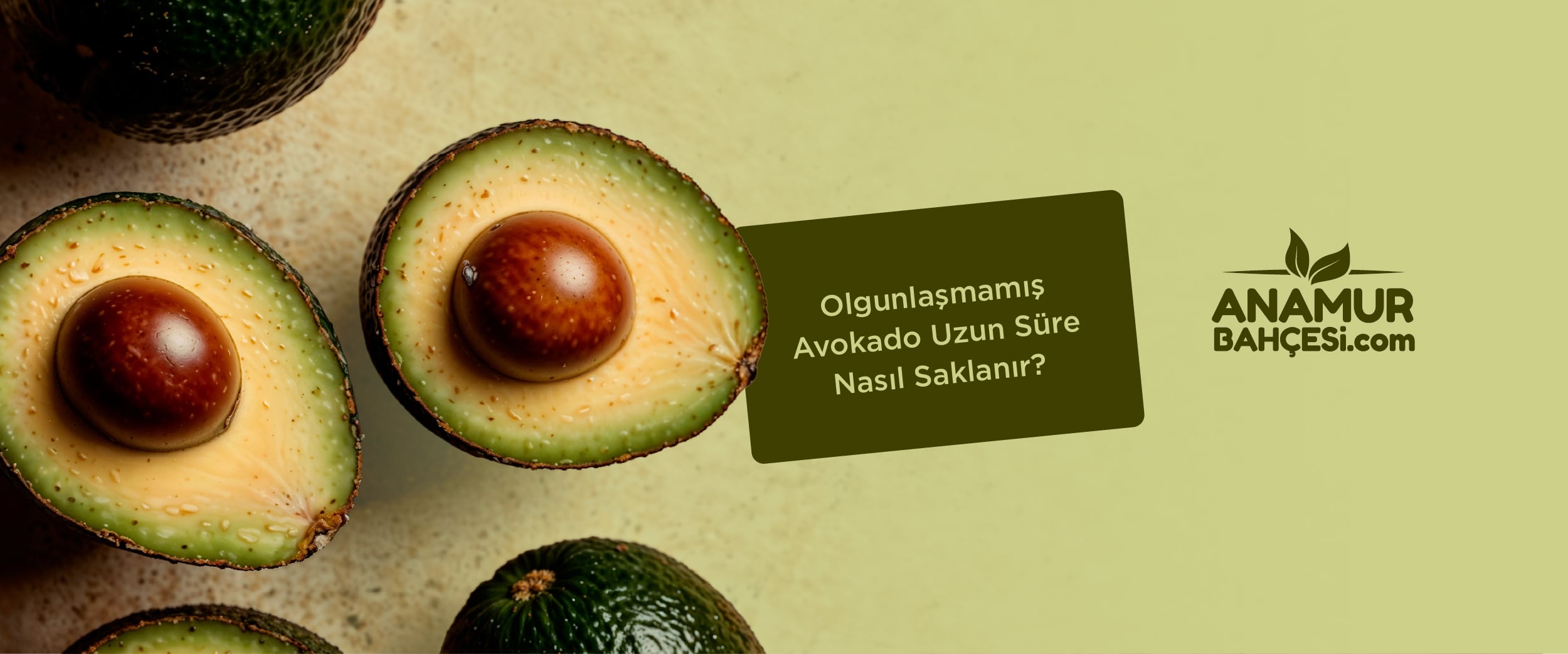 Olgunlaşmamış Avokado Uzun Süre Nasıl Saklanır?