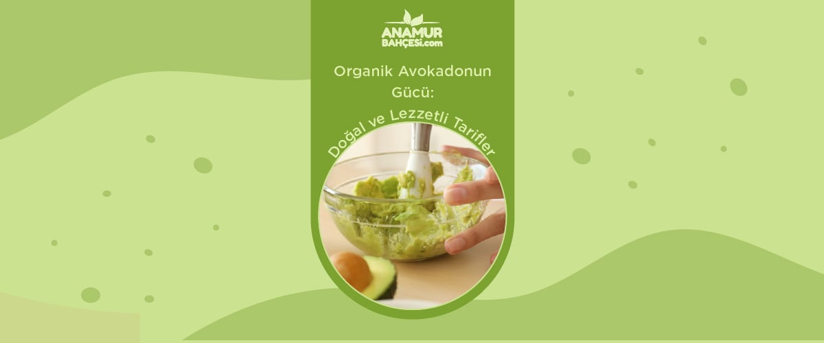 Organik Avakadonun Gücü: Doğal ve Lezzetli Tarifler