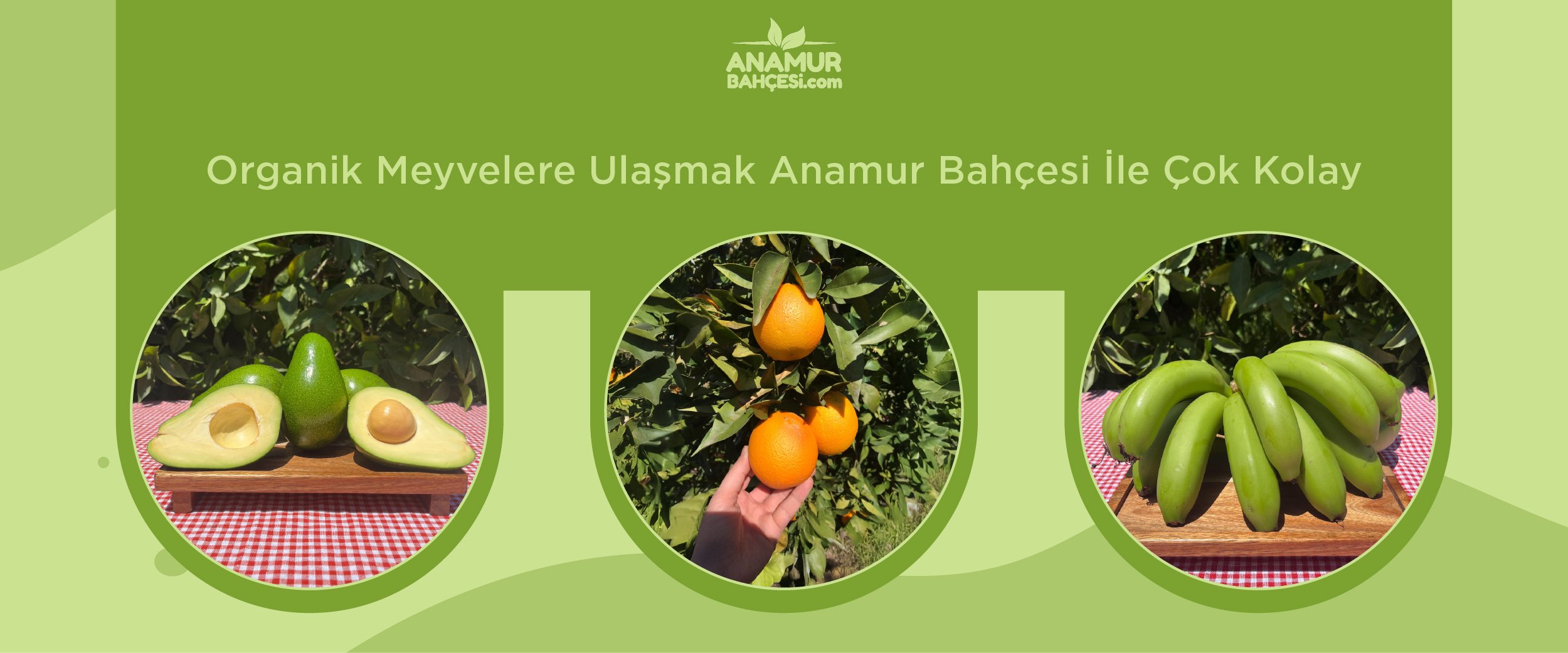 Organik Meyvelere Ulaşmak Anamur Bahçesi ile Çok Kolay