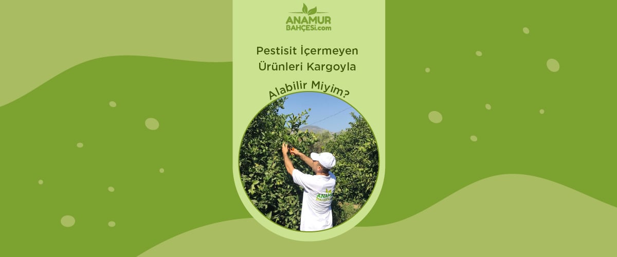 Pestisit İçermeyen Ürünleri Kargoyla Alabilir miyim?
