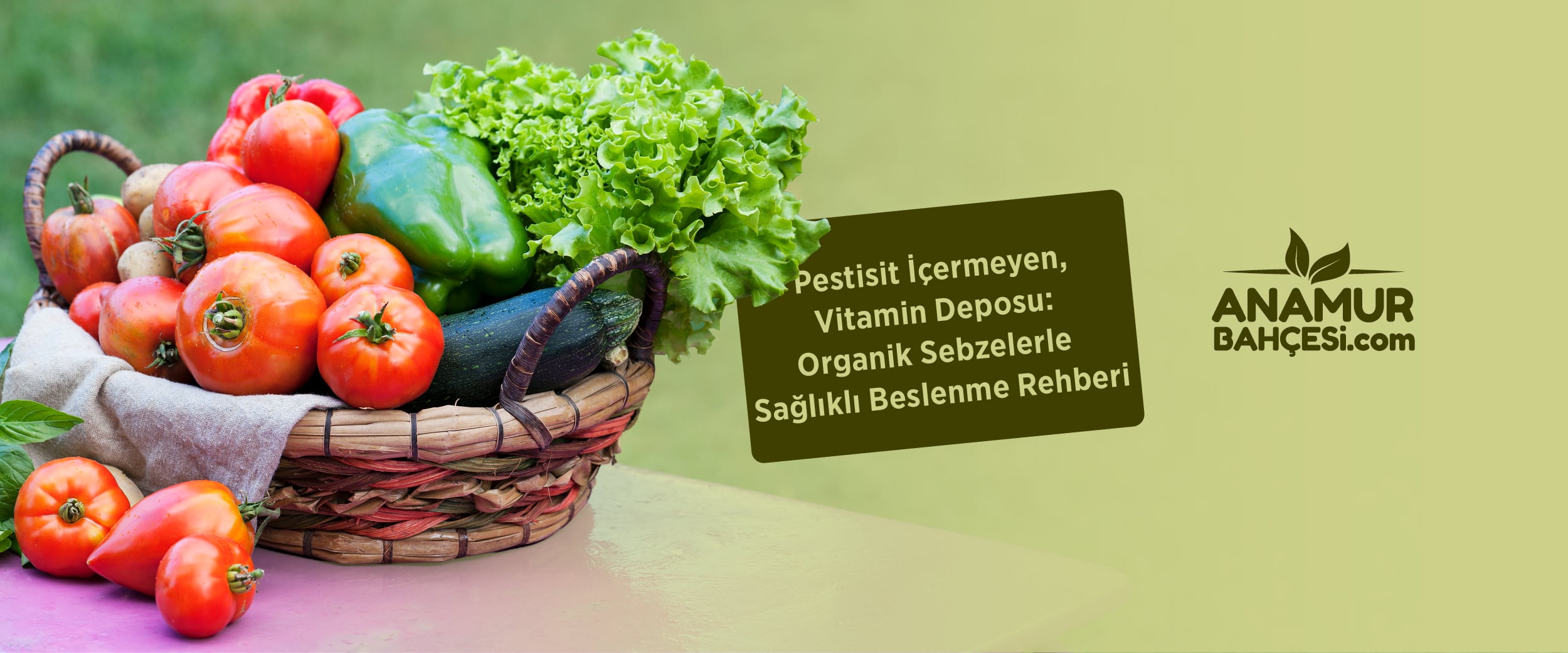 Pestisit İçermeyen Vitamin Deposu: Organik Sebzelerle Sağlıklı Beslenme Rehberi