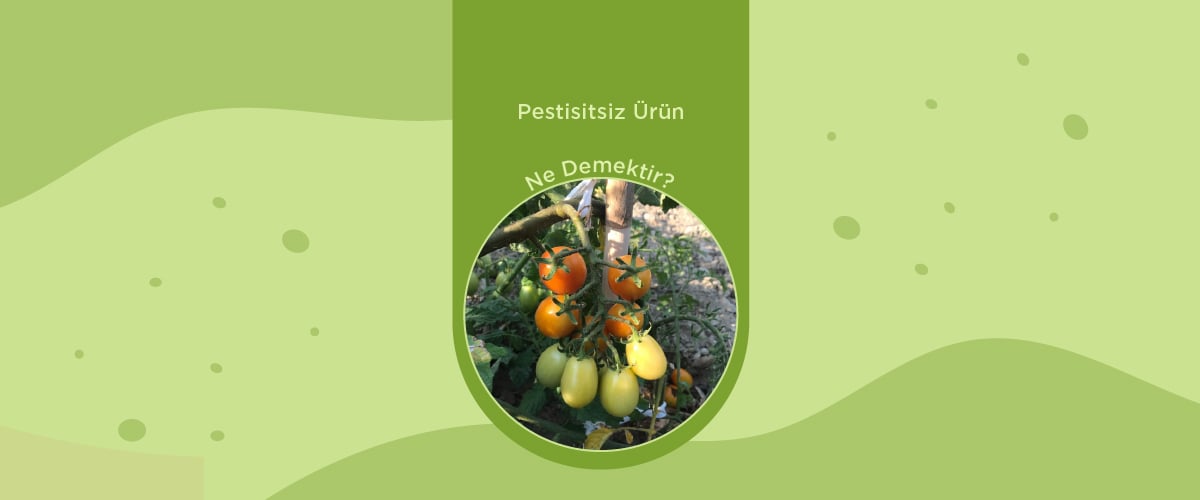 Pestisitsiz Ürün Ne Demektir? - Anamur Bahçesi