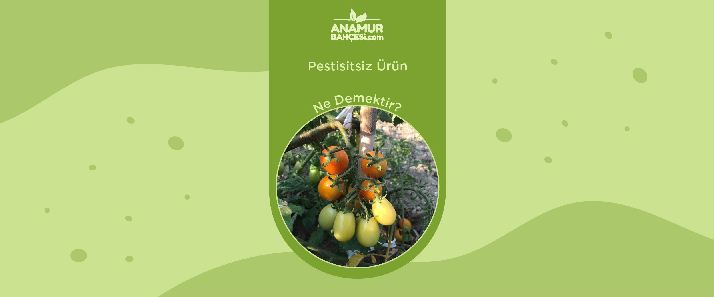 Pestisitsiz Ürün Ne Demektir? - Anamur Bahçesi