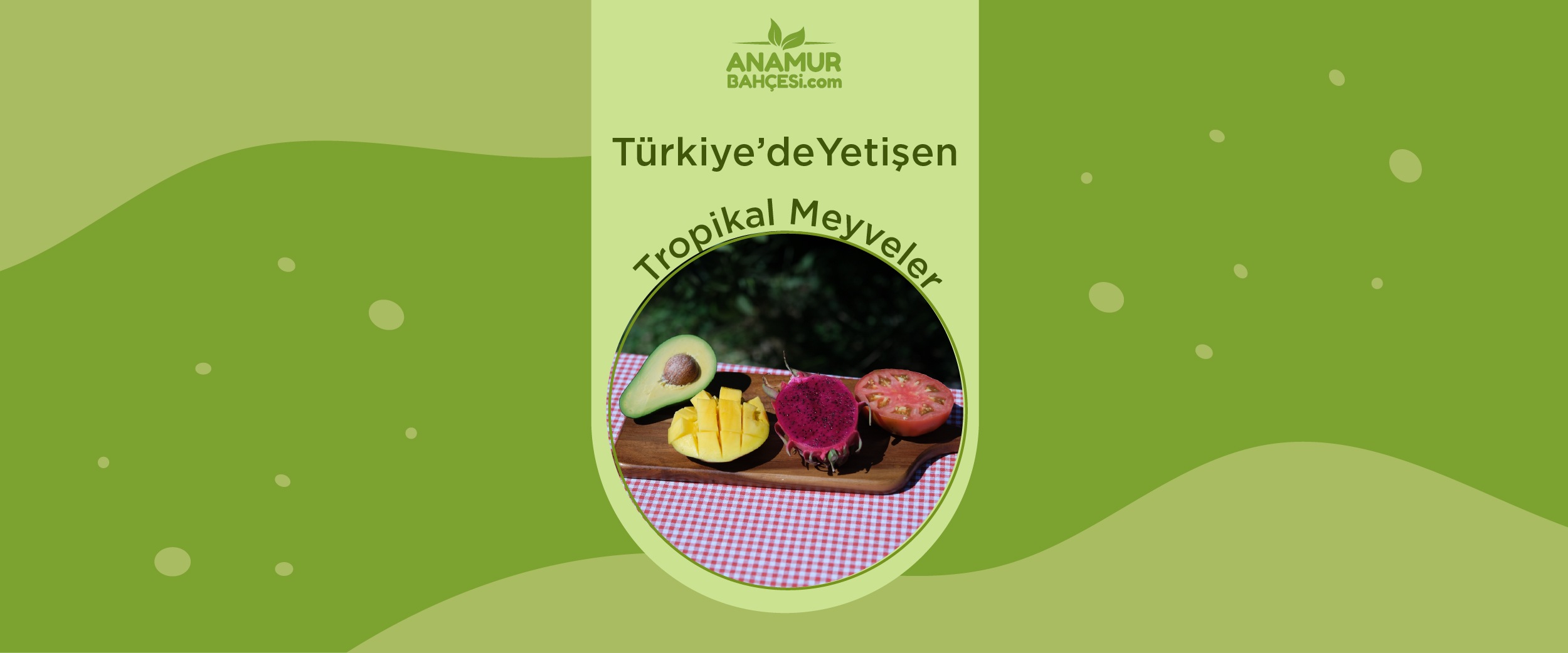 Türkiye’de Yetişen Tropikal Meyveler