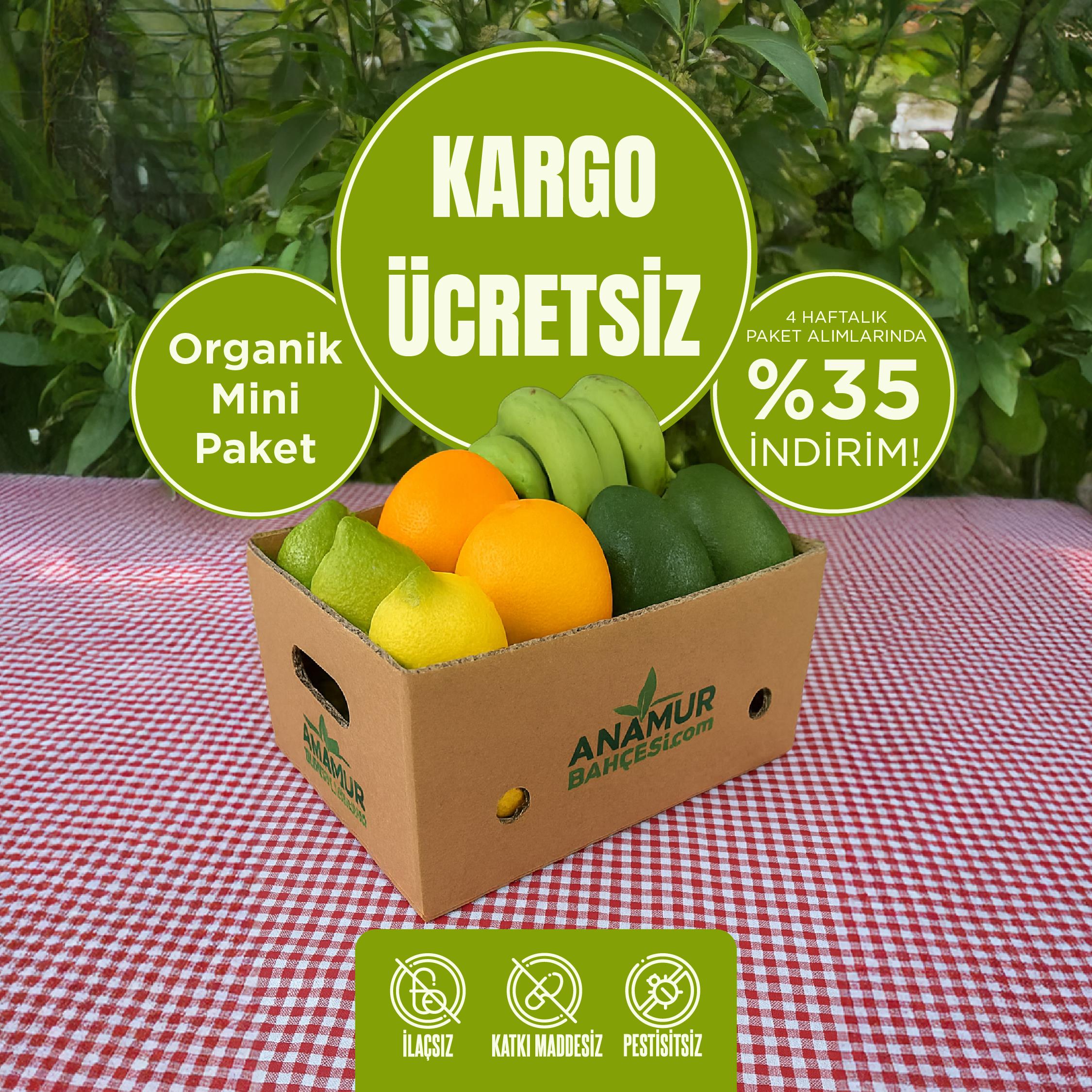 Aylık Mini Organik Meyve Paketi