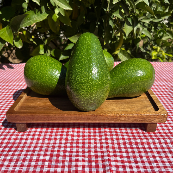 Organik Avokado - Fuerte (4 Adet)