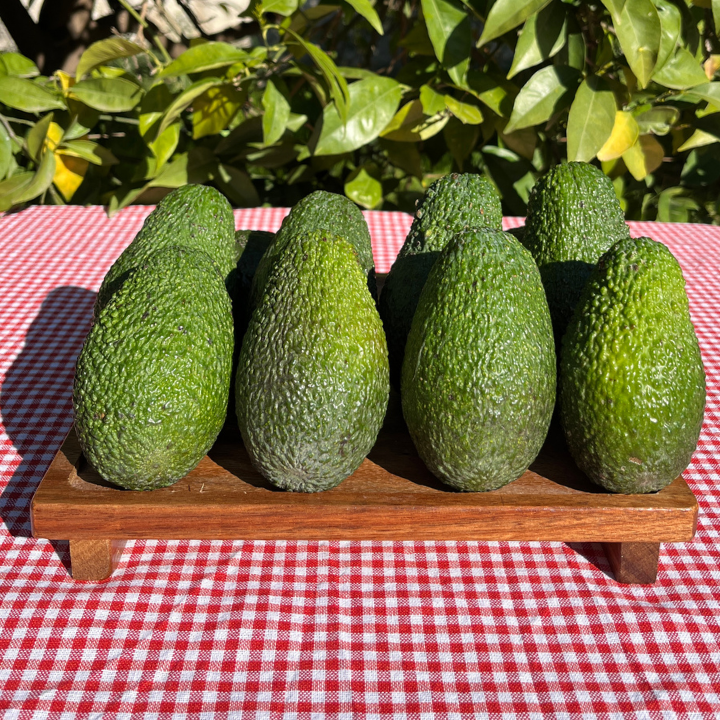 Organik Avokado Paketi (12 Adet)