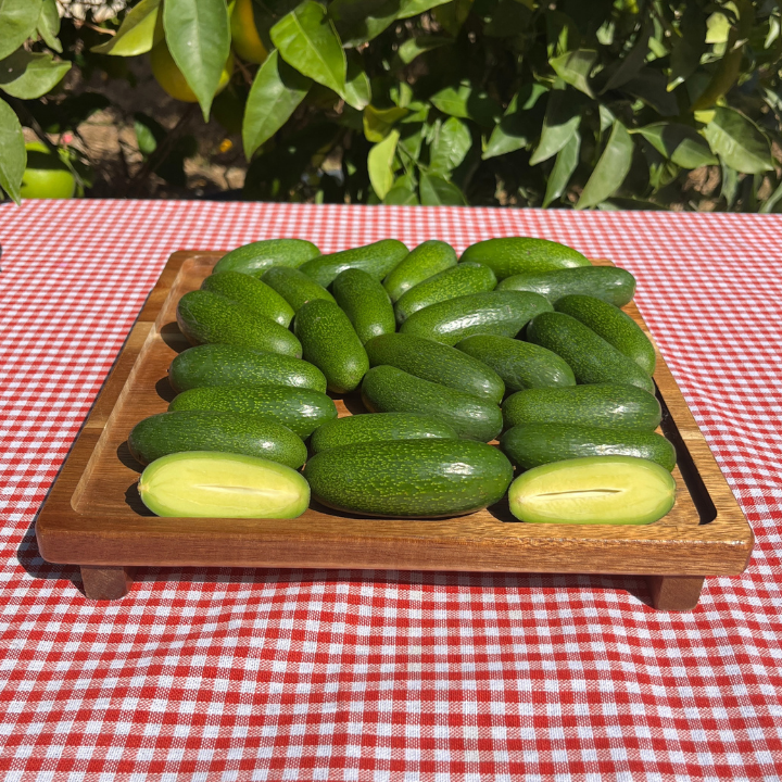 Organik Bebek Avokado (500 Gr)