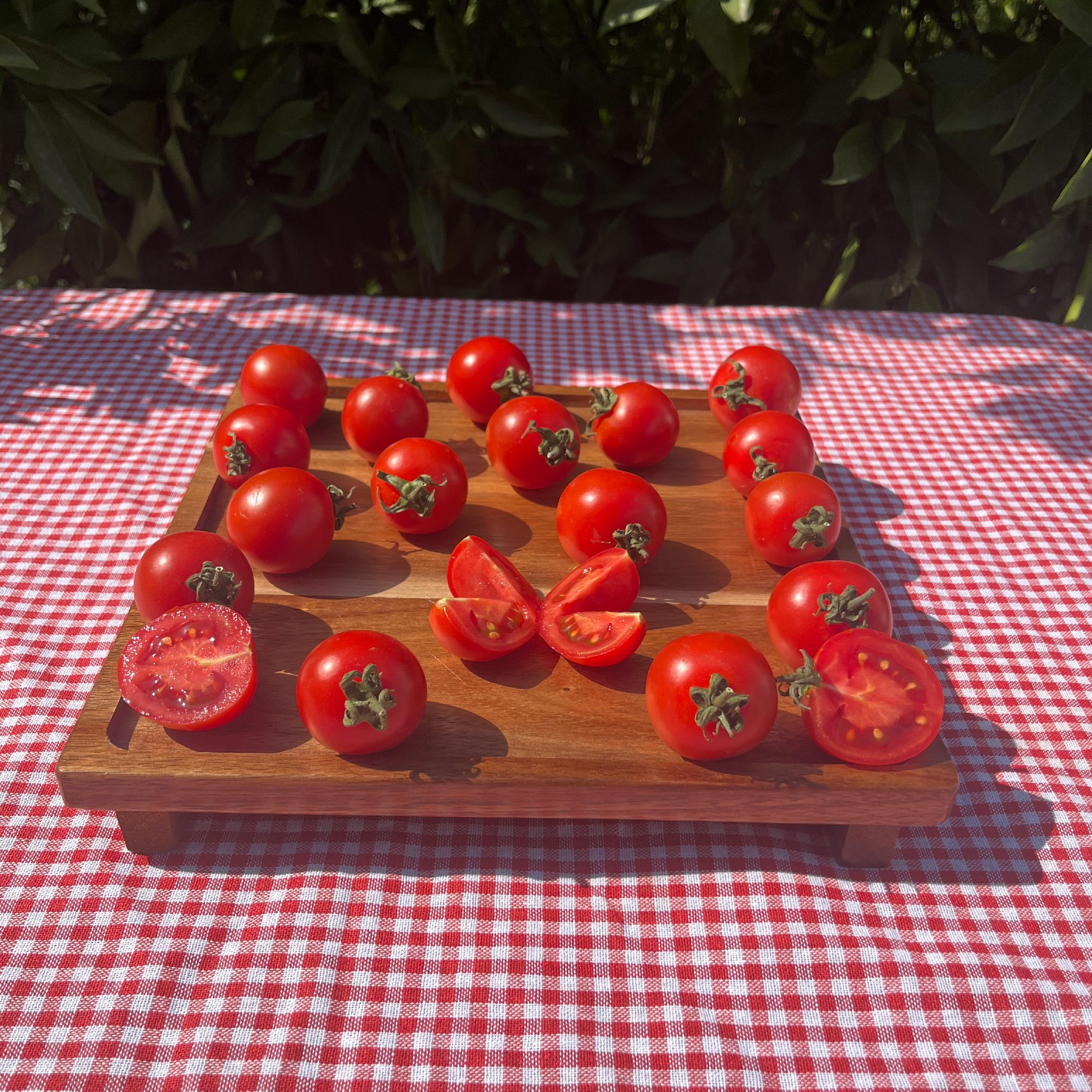 Organik Domates - Kokteyl (500 gr)