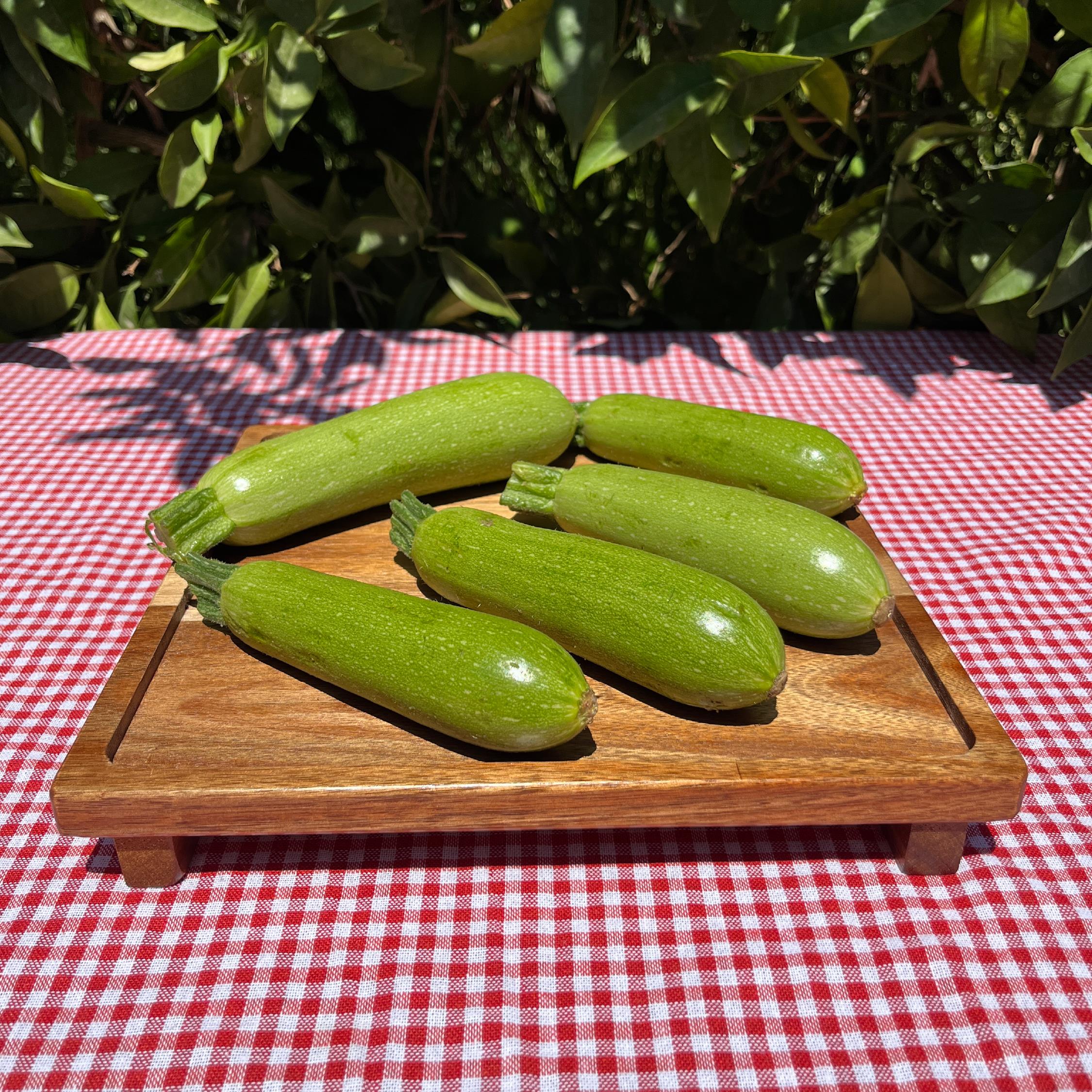 Organik Kabak (500 Gr)